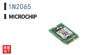 1N2065