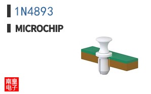 1N4893