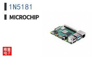 1N5181