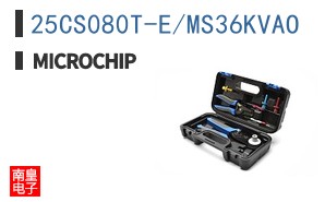 25CS080T-E/MS36KVAO