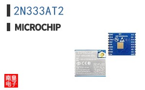 2N333AT2