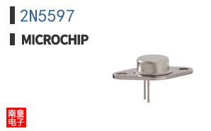 2N5597