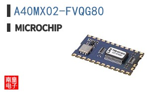 A40MX02-FVQG80