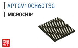APTGV100H60T3G