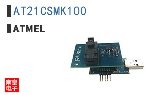 AT21CSMK100