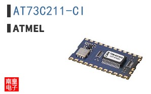 AT73C211-CI