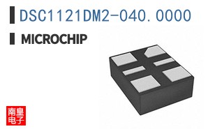 DSC1121DM2-040.0000