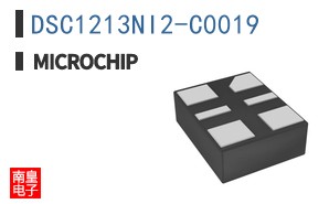DSC1213NI2-C0019