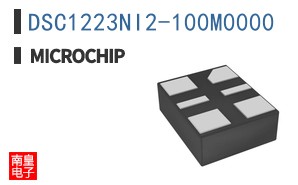 DSC1223NI2-100M0000