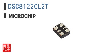 DSC8122CL2T
