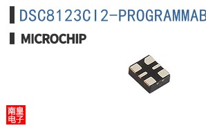 DSC8123CI2-PROGRAMMABLE