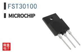FST30100
