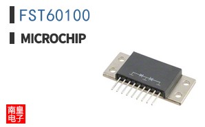 FST60100