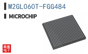 M2GL060T-FGG484