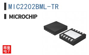 MIC2202BML-TR