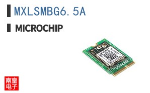 MXLSMBG6.5A