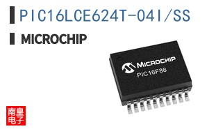 PIC16LCE624T-04I/SS