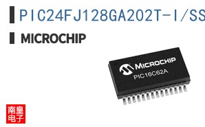 PIC24FJ128GA202T-I/SS