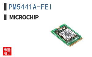 PM5441A-FEI