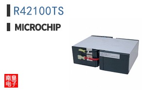 R42100TS