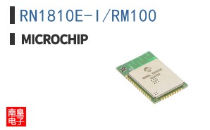 RN1810E-I/RM100
