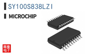 SY100S838LZI